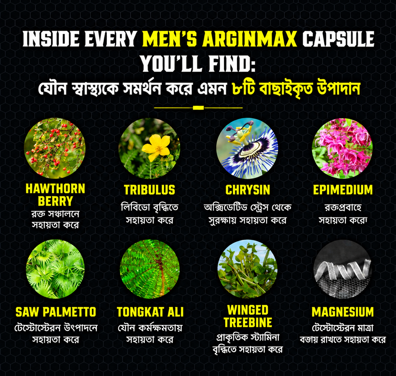 Men's Arginmax Ingredients Banner
